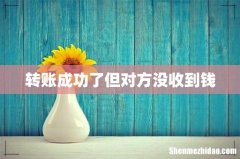 转账成功了但对方没收到钱