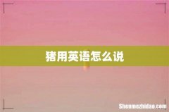 猪用英语怎么说