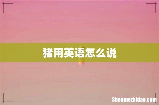 猪用英语怎么说