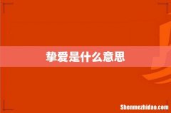 挚爱是什么意思