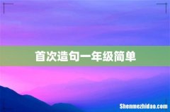 首次造句一年级简单