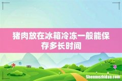 猪肉放在冰箱冷冻一般能保存多长时间