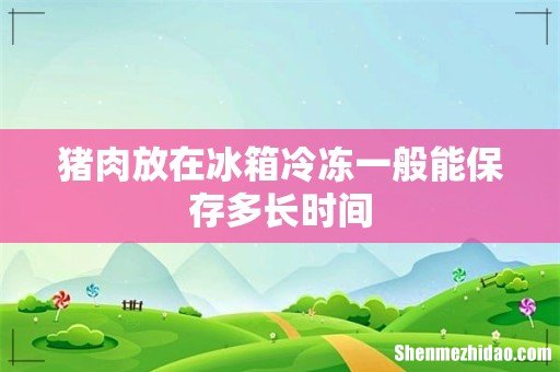 猪肉放在冰箱冷冻一般能保存多长时间