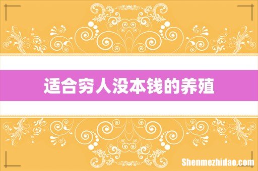 适合穷人没本钱的养殖