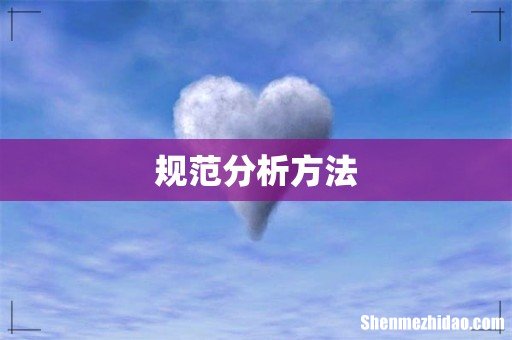 规范分析方法