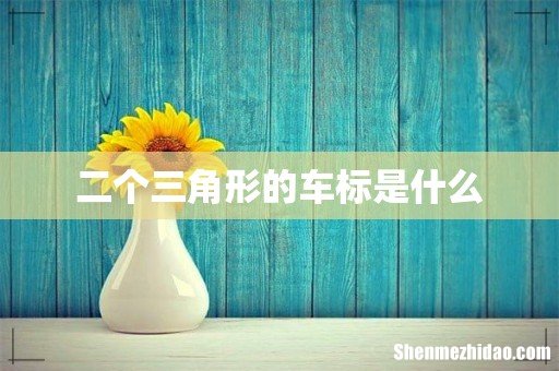 二个三角形的车标是什么