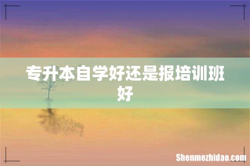 专升本自学好还是报培训班好