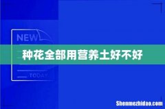 种花全部用营养土好不好