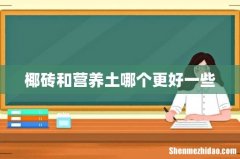 椰砖和营养土哪个更好一些