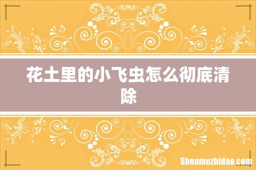 花土里的小飞虫怎么彻底清除