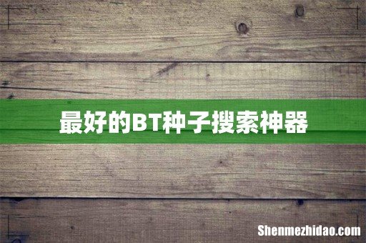 最好的BT种子搜索神器