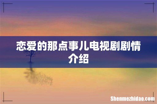 恋爱的那点事儿电视剧剧情介绍