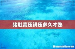猪肚高压锅压多久才熟