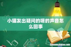 小猫发出疑问的嗯的声音怎么回事