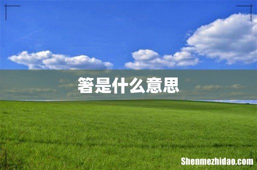 箸是什么意思