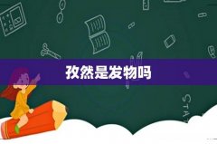 孜然是发物吗
