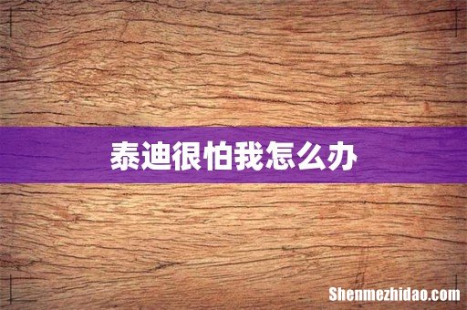泰迪很怕我怎么办