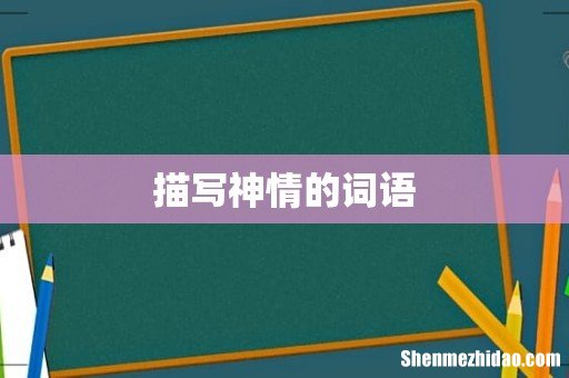 描写神情的词语