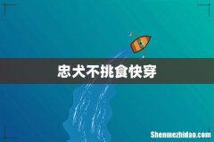 忠犬不挑食快穿