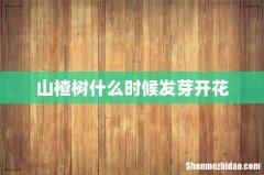 山楂树什么时候发芽开花