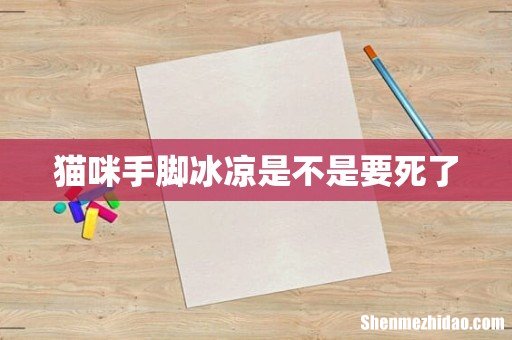 猫咪手脚冰凉是不是要死了