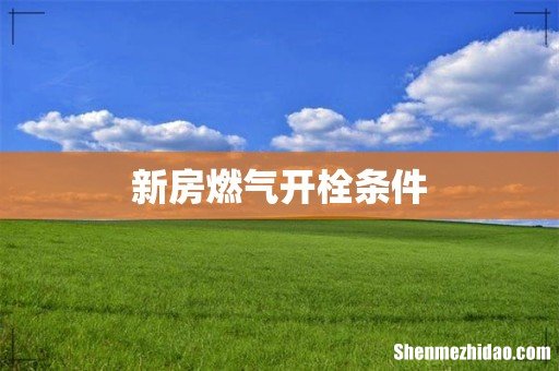 新房燃气开栓条件
