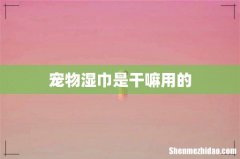 宠物湿巾是干嘛用的
