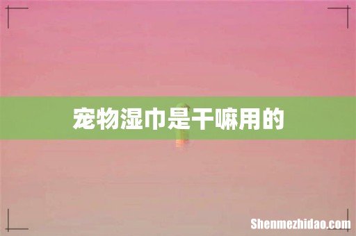 宠物湿巾是干嘛用的