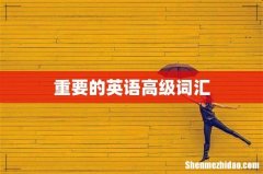 重要的英语高级词汇