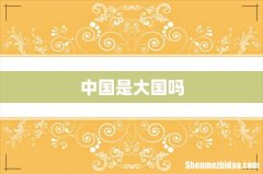 中国是大国吗