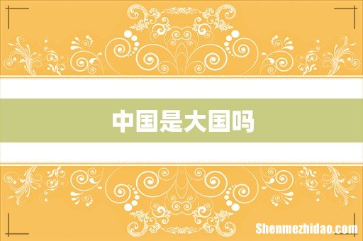 中国是大国吗