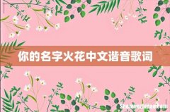 你的名字火花中文谐音歌词