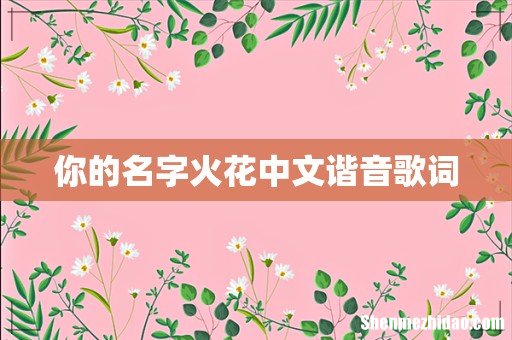 你的名字火花中文谐音歌词