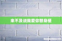 来不及说我爱你替身梗