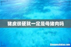 猪皮很硬就一定是母猪肉吗