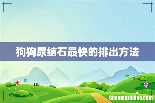 狗狗尿结石最快的排出方法