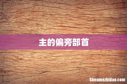 主的偏旁部首