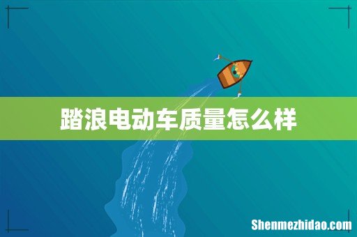 踏浪电动车质量怎么样
