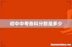 初中中考各科分数是多少