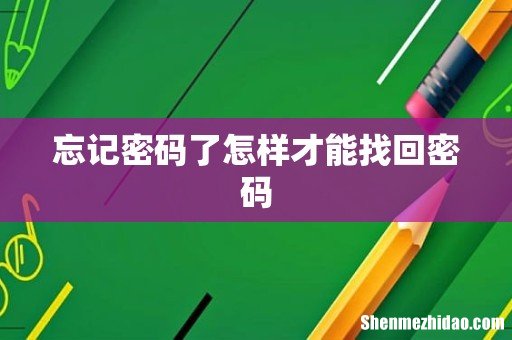 忘记密码了怎样才能找回密码