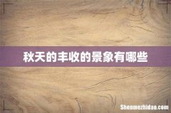 秋天的丰收的景象有哪些