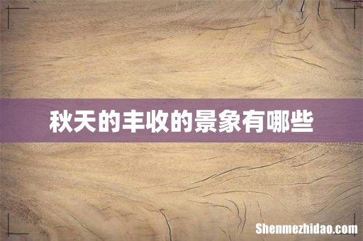 秋天的丰收的景象有哪些