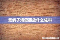 煮鸽子汤需要放什么佐料