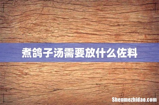 煮鸽子汤需要放什么佐料