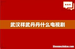 武汉祥武丹丹什么电视剧
