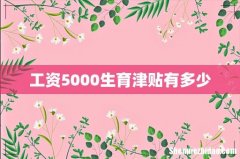 工资5000生育津贴有多少