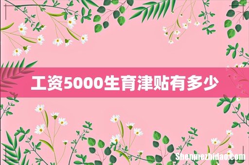 工资5000生育津贴有多少