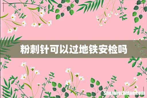 粉刺针可以过地铁安检吗