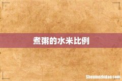 煮粥的水米比例