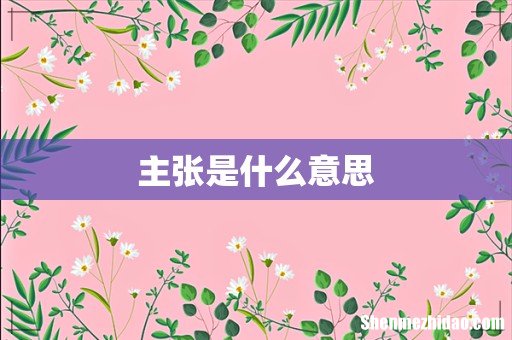 主张是什么意思